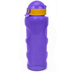 Бутылка для воды LIFESTYLE 500 мл.фиолетовая