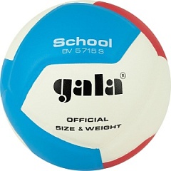 Мяч волейбольный Gala School 12